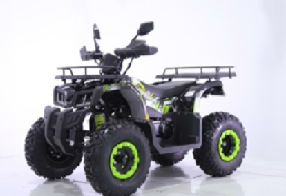 Квадроцикл TAO MOTORS REPTILE-200 (WARRIOR)